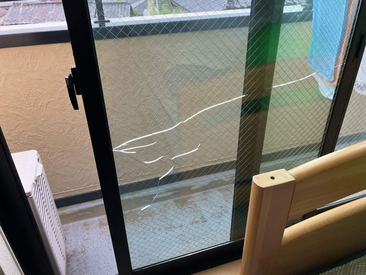 熱割れ画像25ガラパゴス！