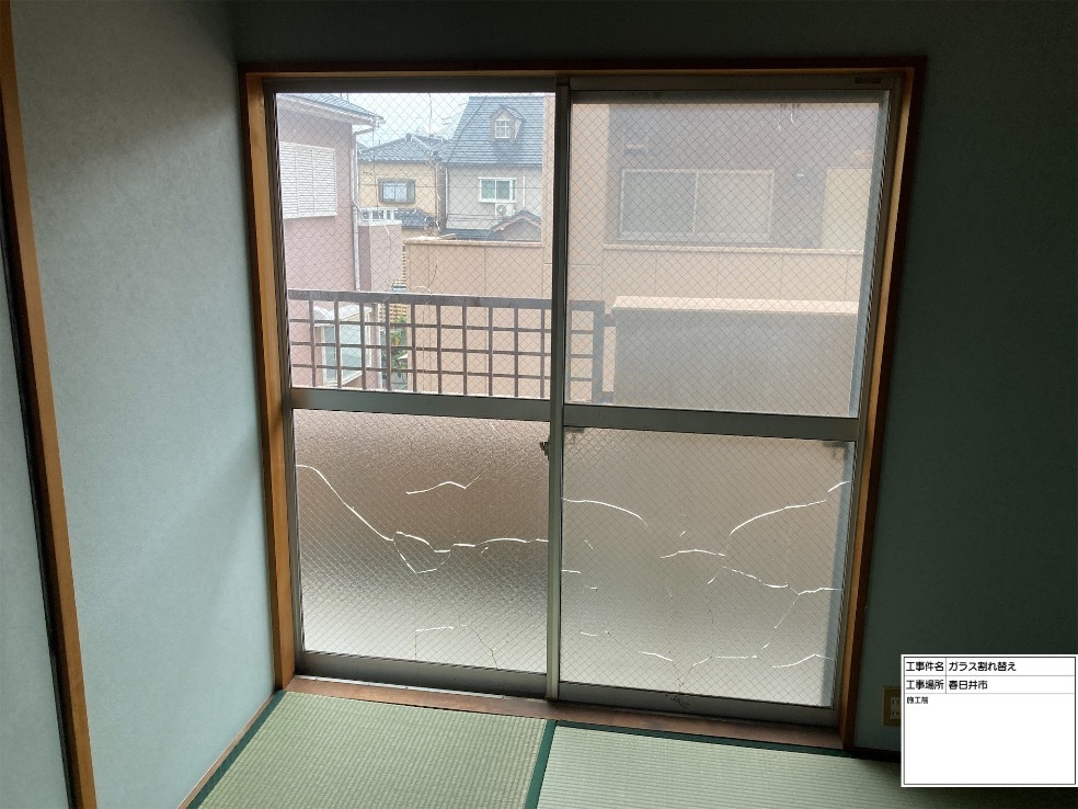 熱割れ画像13ガラパゴス！